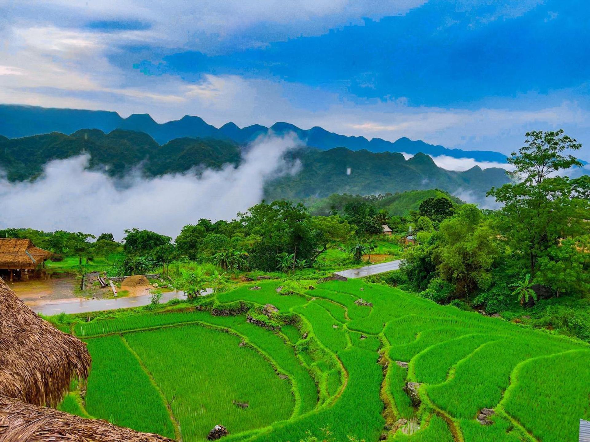 Pu Luong Jungle Lodge المظهر الخارجي الصورة