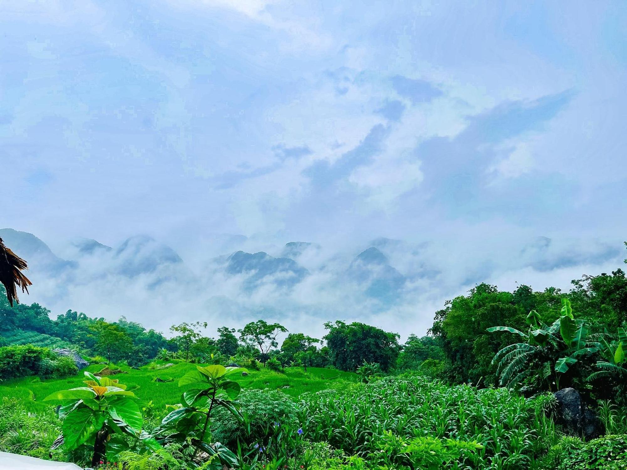 Pu Luong Jungle Lodge المظهر الخارجي الصورة