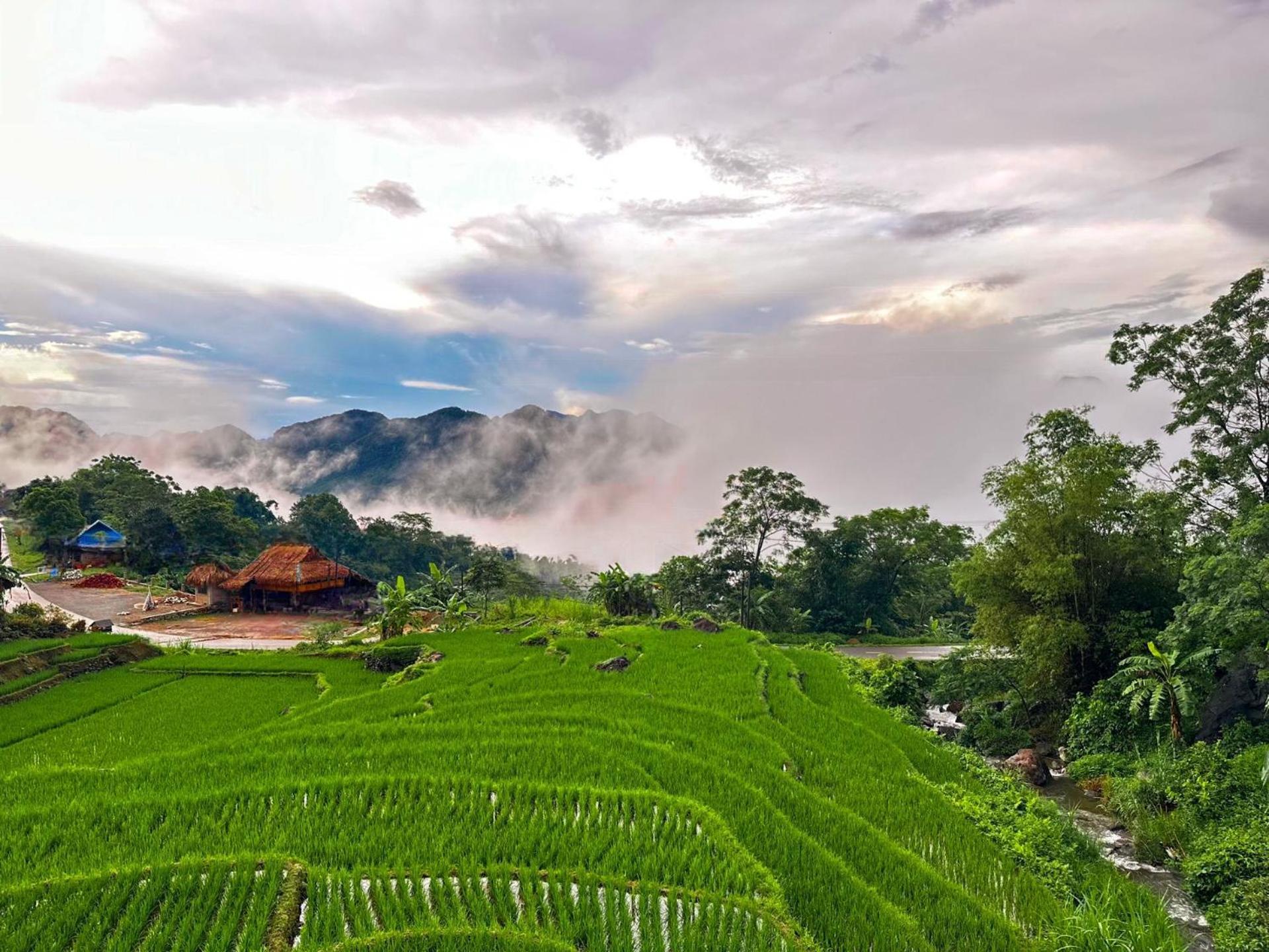 Pu Luong Jungle Lodge المظهر الخارجي الصورة