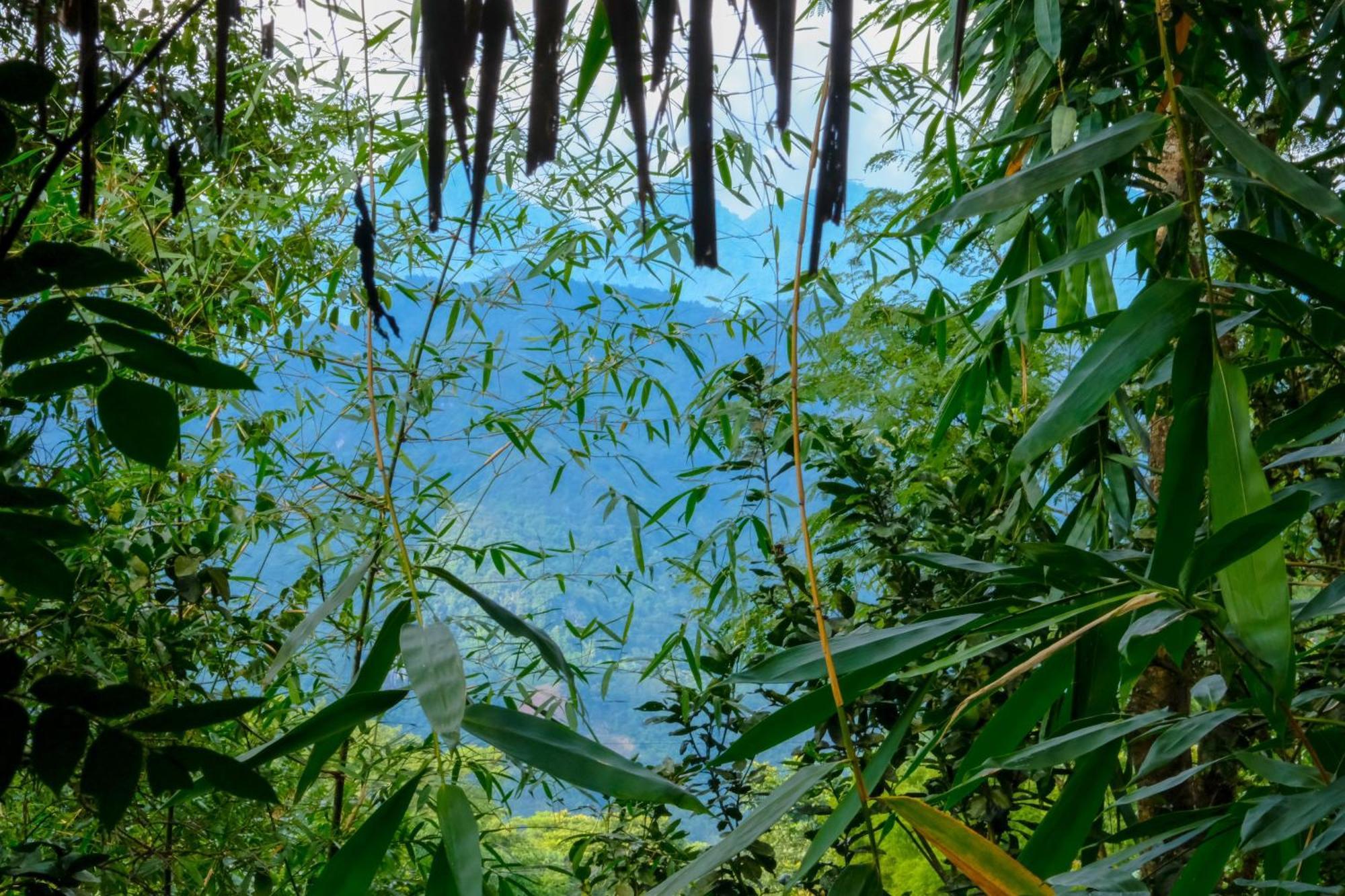 Pu Luong Jungle Lodge المظهر الخارجي الصورة